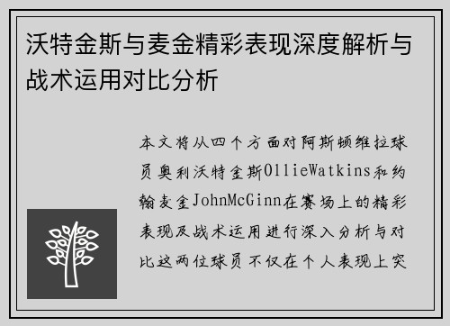 沃特金斯与麦金精彩表现深度解析与战术运用对比分析