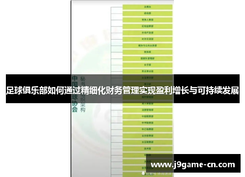 足球俱乐部如何通过精细化财务管理实现盈利增长与可持续发展