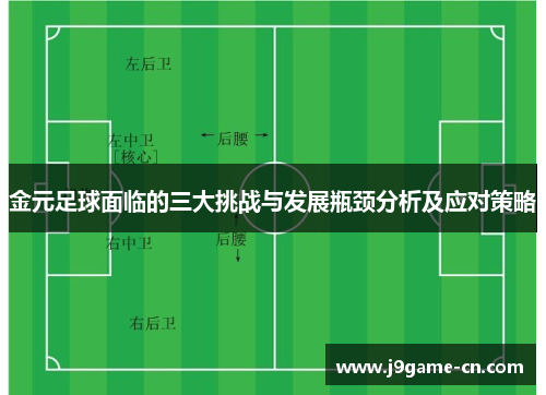 金元足球面临的三大挑战与发展瓶颈分析及应对策略