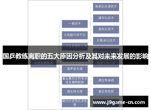 国乒教练离职的五大原因分析及其对未来发展的影响