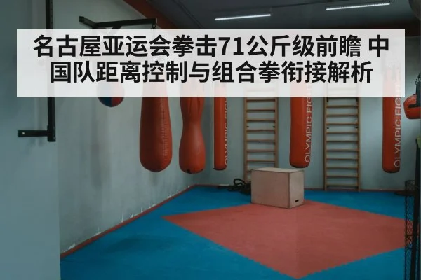 名古屋亚运会拳击71公斤级前瞻 中国队距离控制与组合拳衔接解析 | j9 game